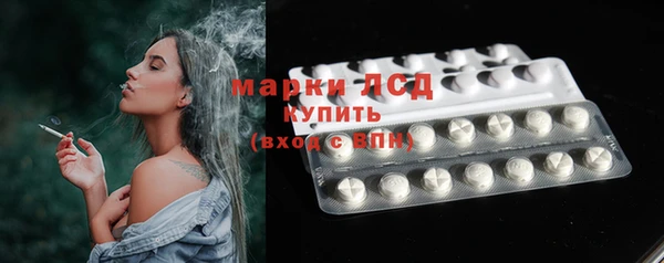 ГАЛЛЮЦИНОГЕННЫЕ ГРИБЫ Алзамай