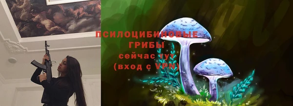 ГАЛЛЮЦИНОГЕННЫЕ ГРИБЫ Алзамай