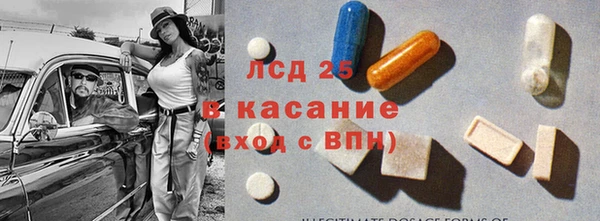 ГАЛЛЮЦИНОГЕННЫЕ ГРИБЫ Алзамай