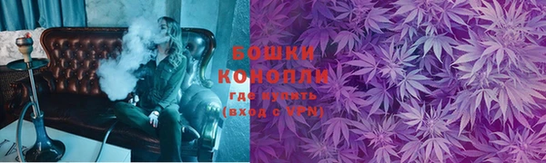 ГАЛЛЮЦИНОГЕННЫЕ ГРИБЫ Алзамай