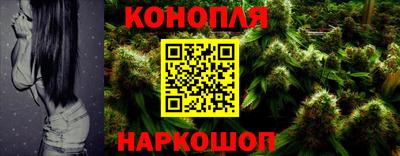 гидра Заводоуковск