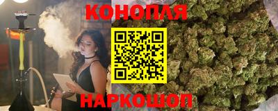 гидра Заводоуковск