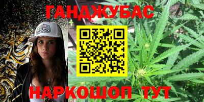 индика Жуковский