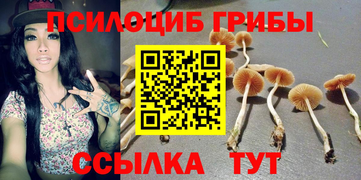Серов  Псилоцибиновые грибы GOLDEN TEACHER  Вход с VPN 