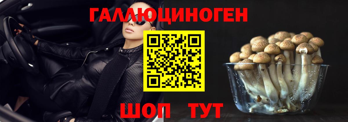 Галлюциногенные грибы Psilocybe Серов